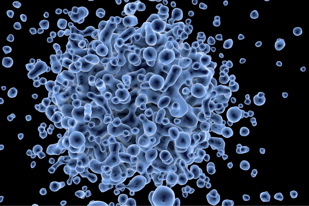 benefits of umbilical cord stem cells