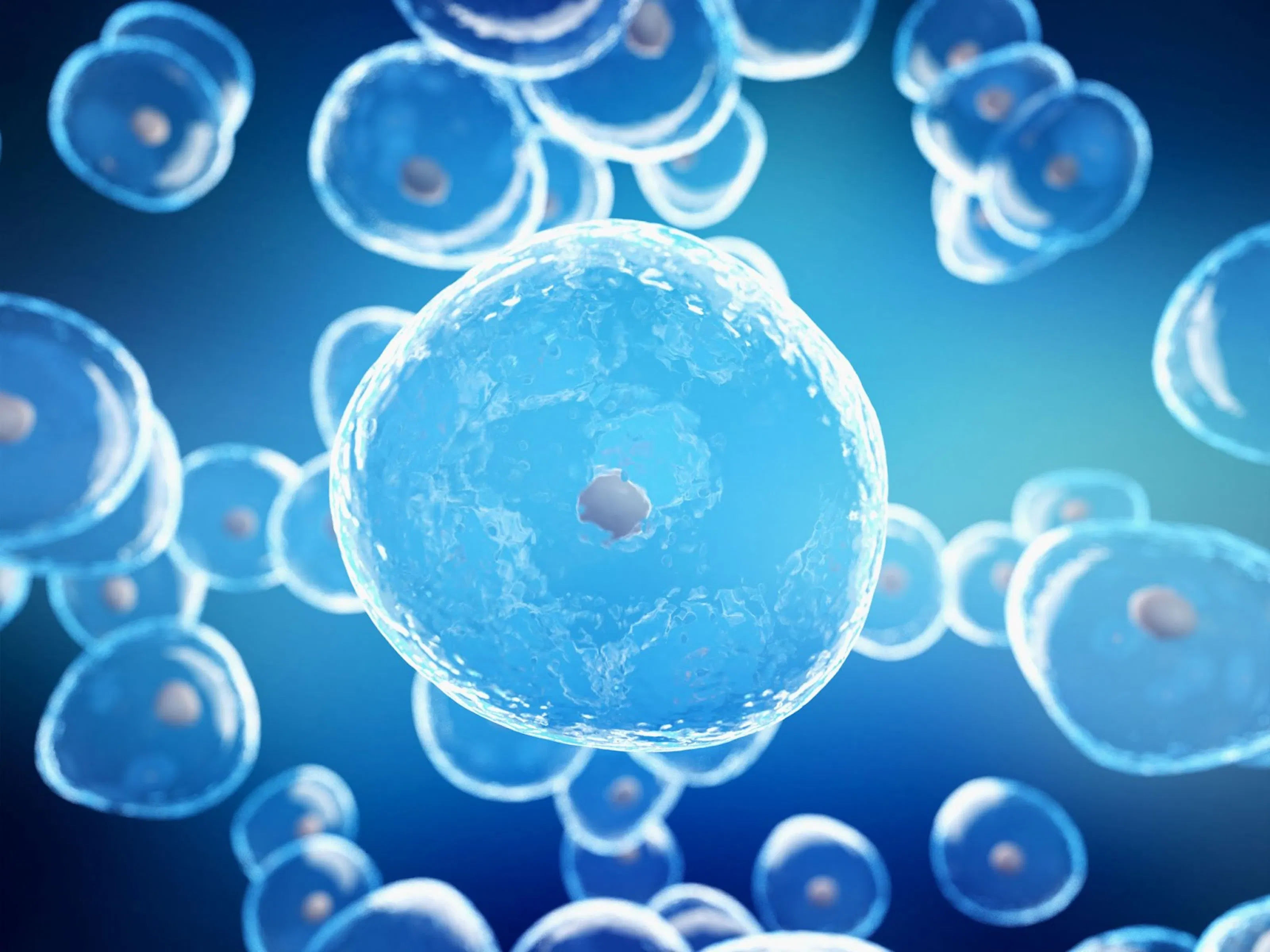 Healthy human tissue cells.
