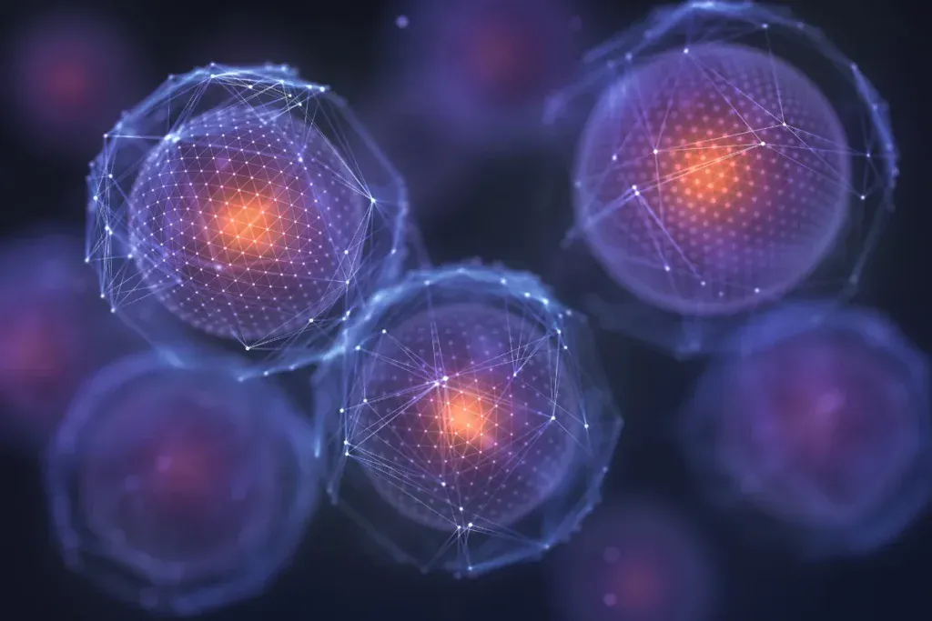 Stem Cells