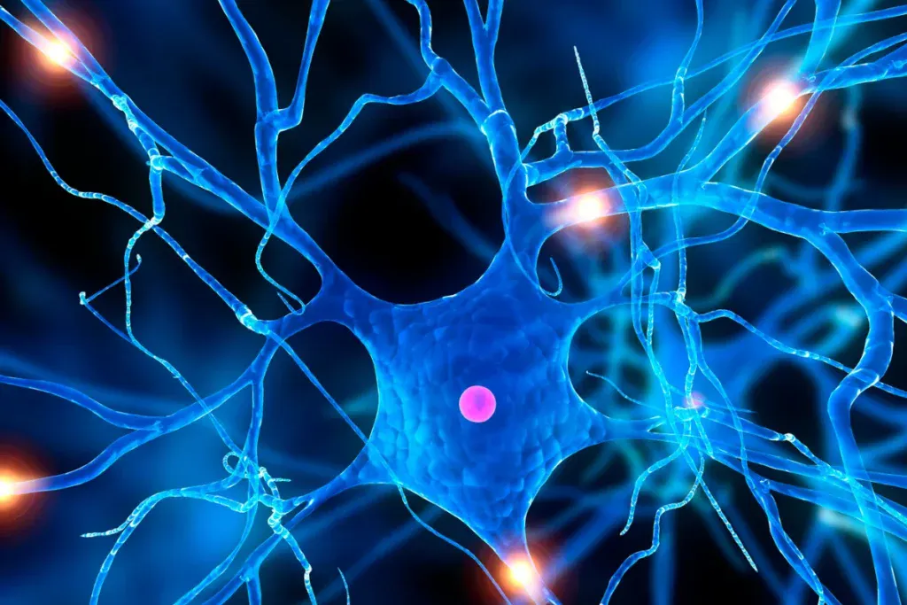 stem cell for DDD treatment