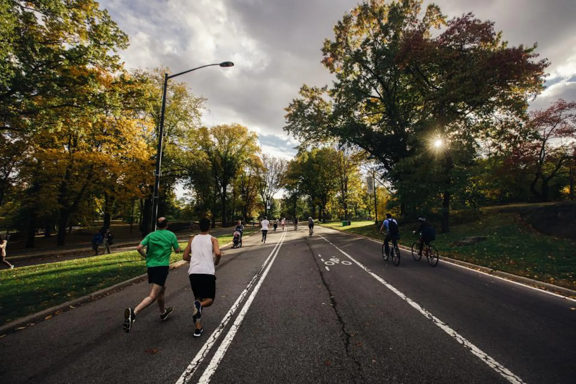 People running during golden hour with trees on either side of the road.