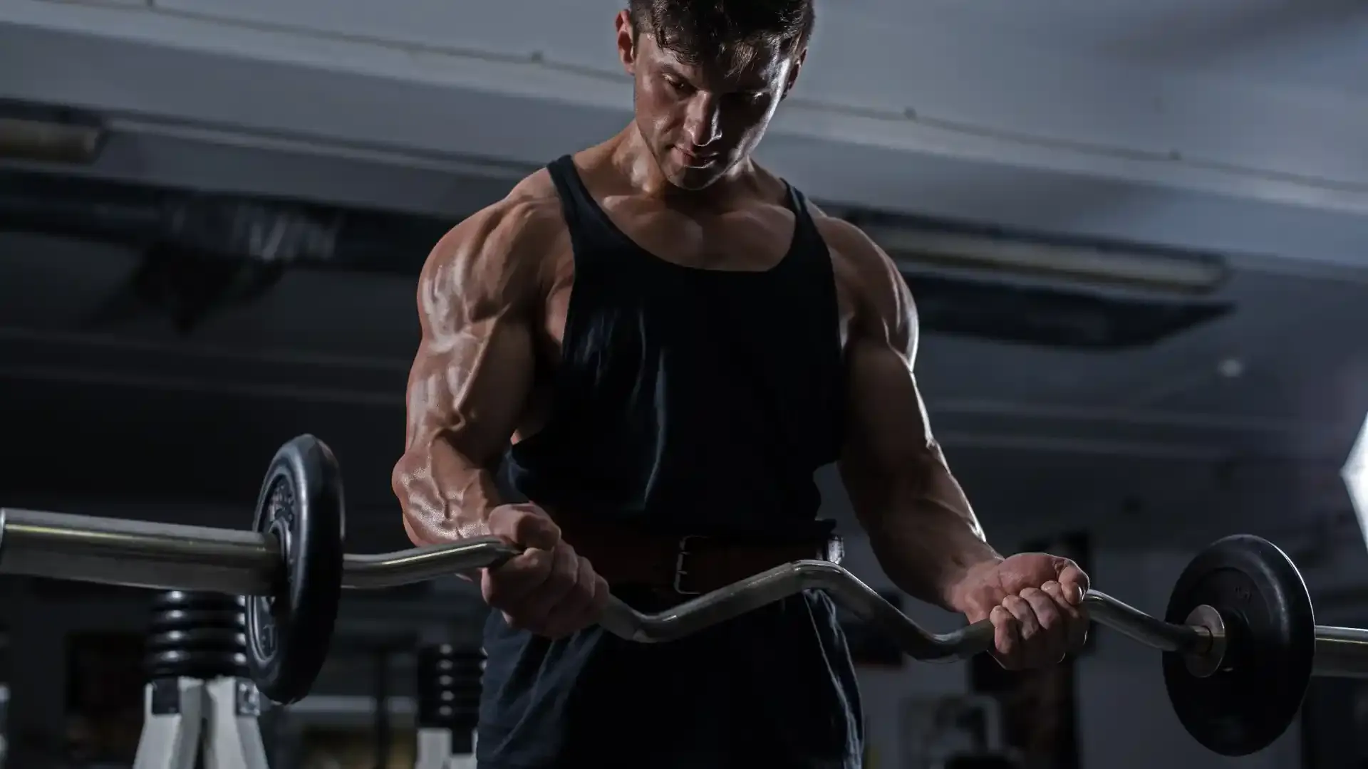 exogenous testosterone