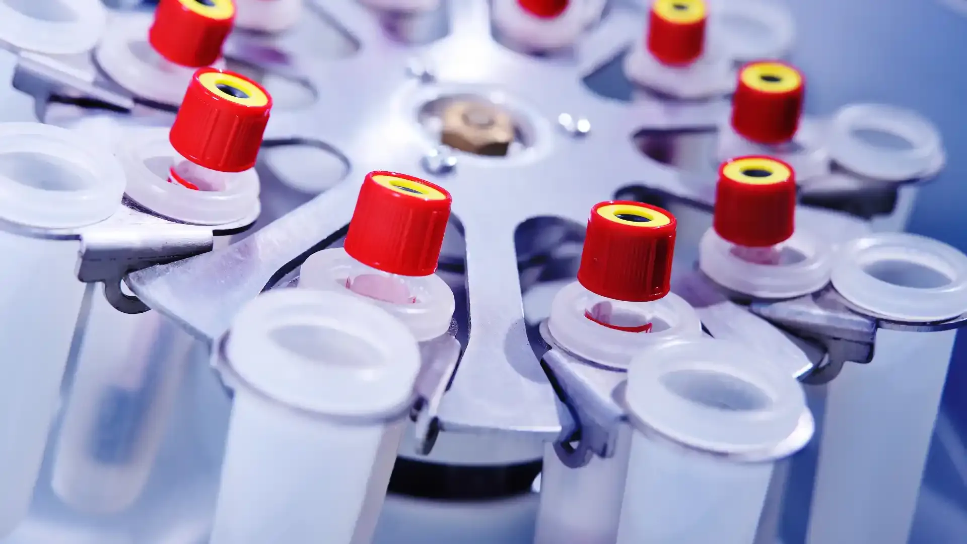 sperm production and blood test results