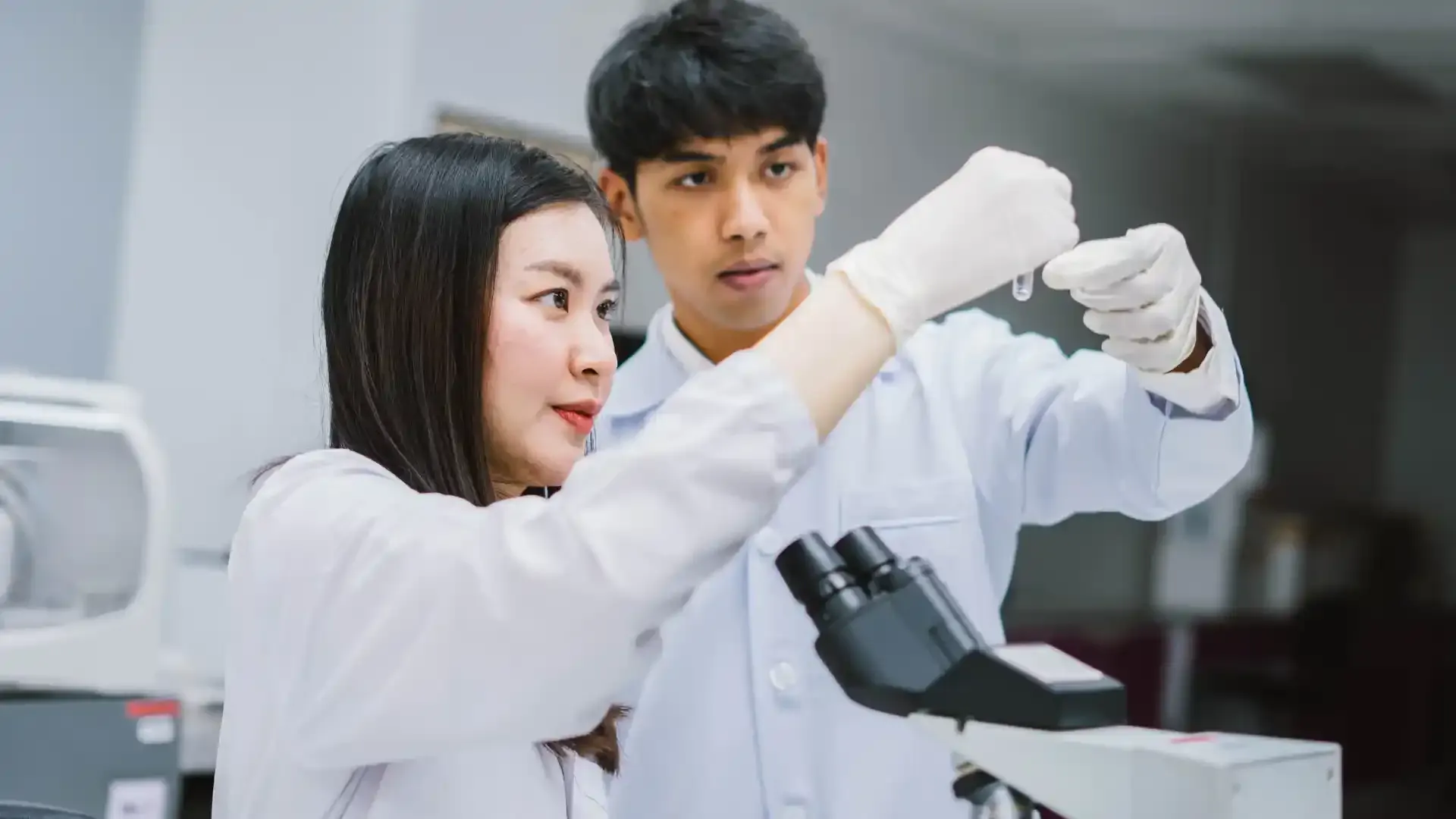 insulin like growth factor