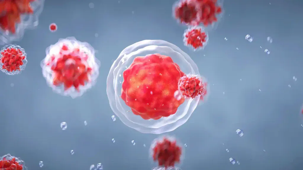 adipose stem cells
