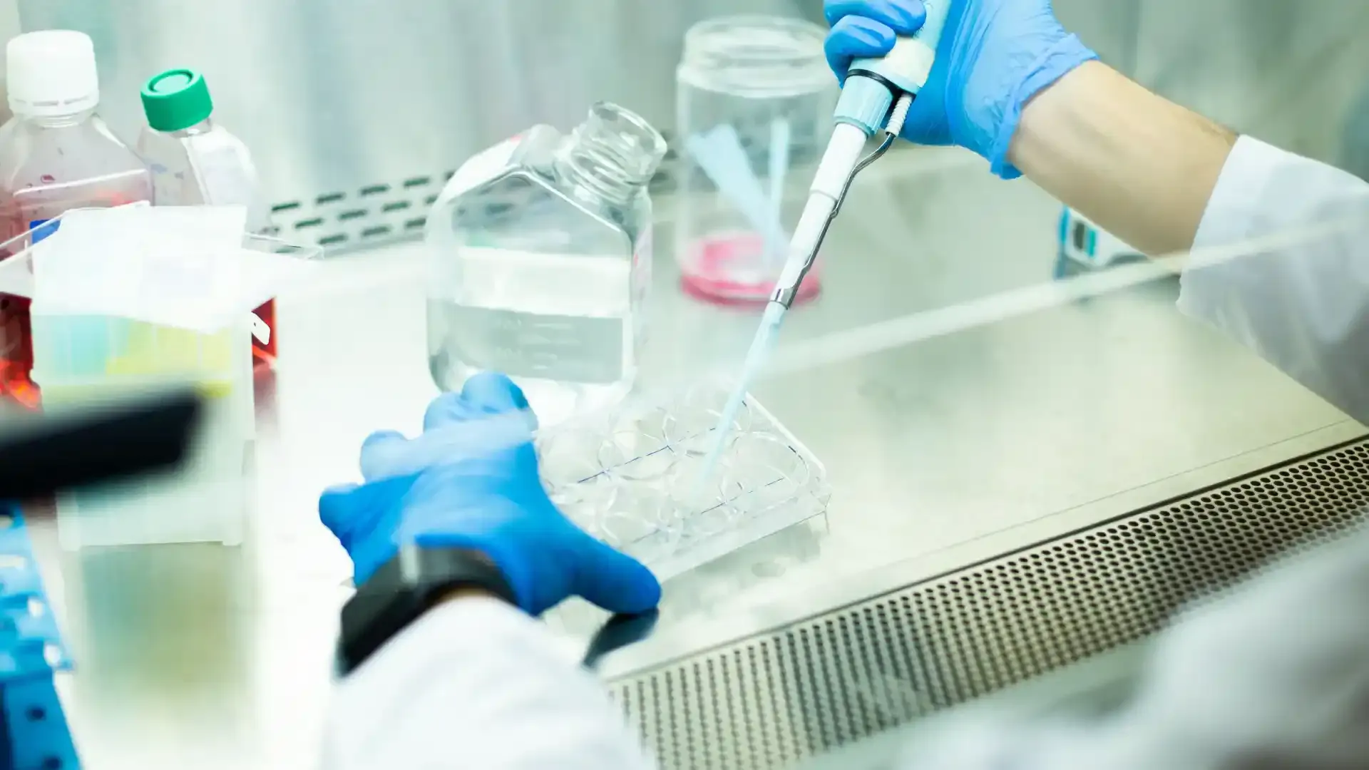 adult stem cells