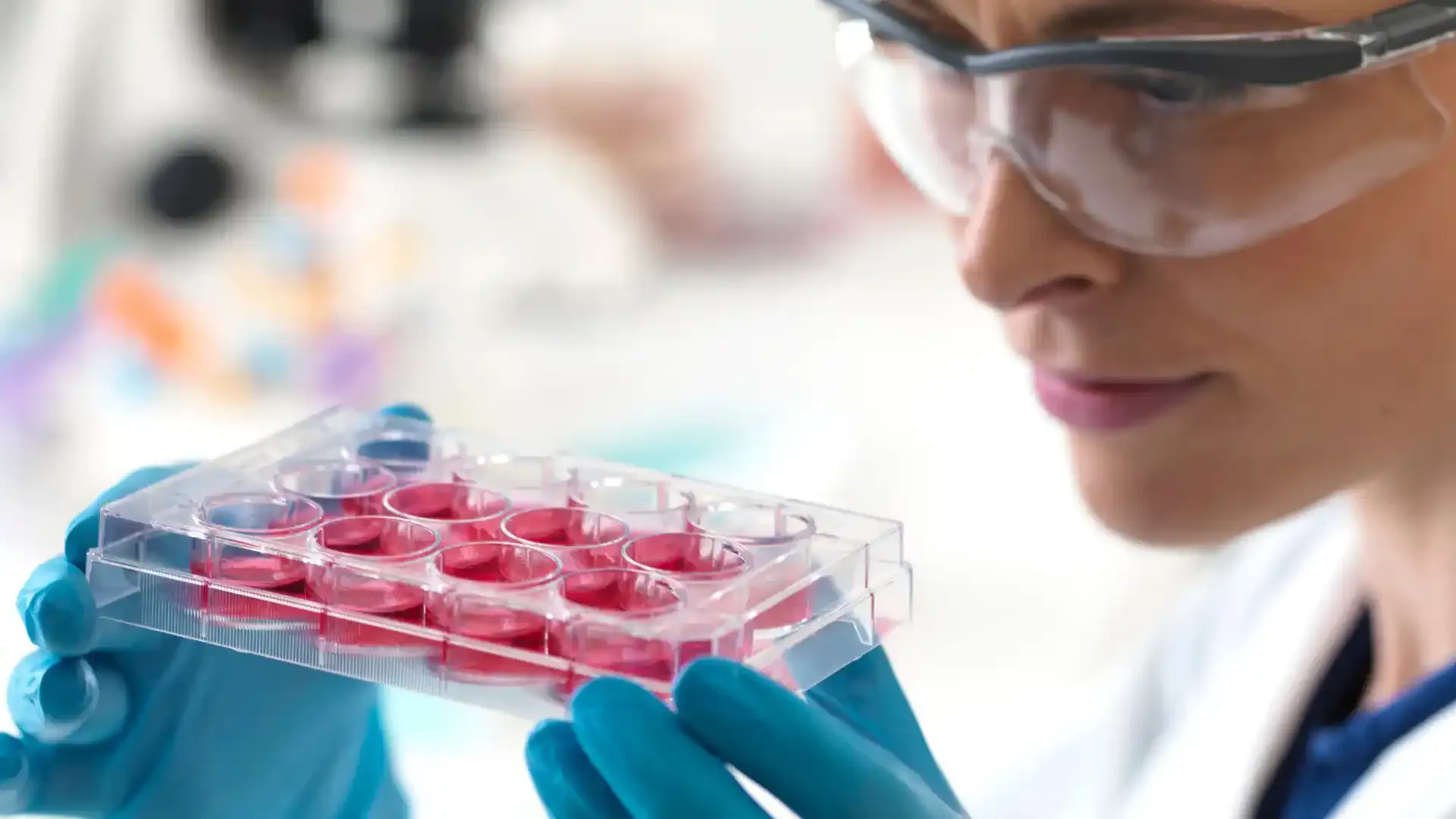 stem cell procedure