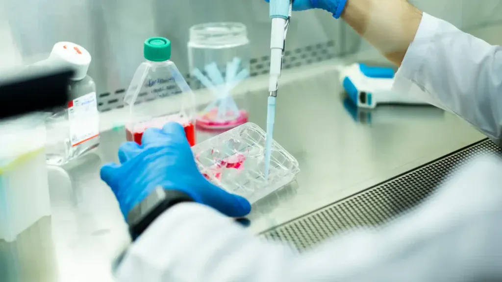 adipose tissue