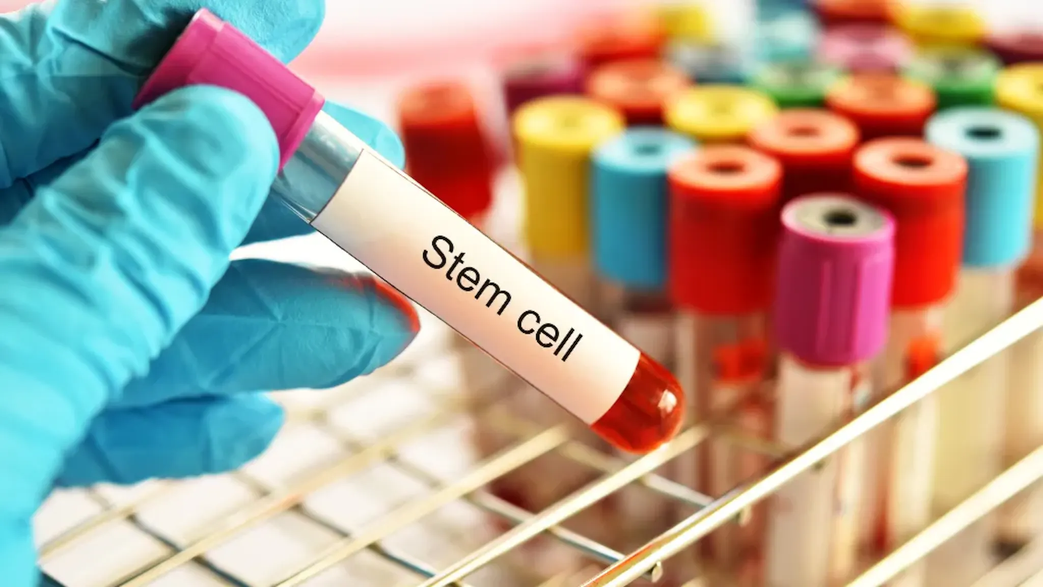 stem cells research