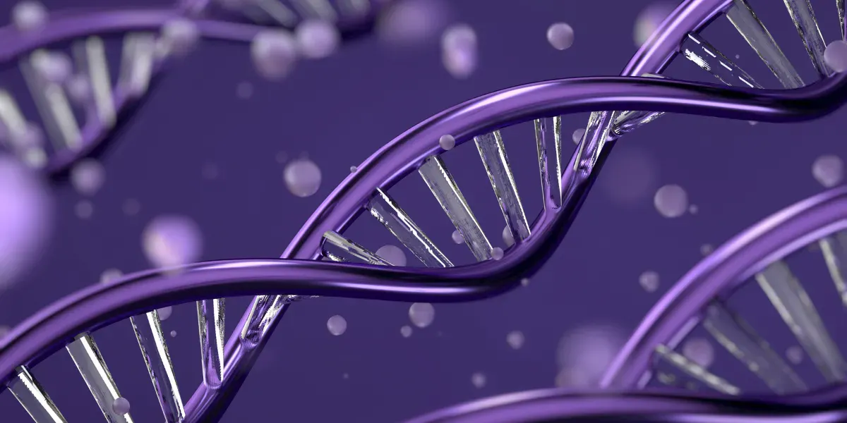 stem cells regeneration