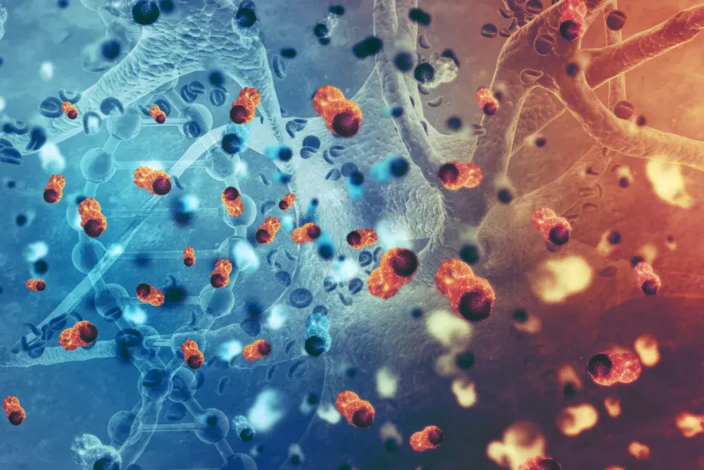 stem cells