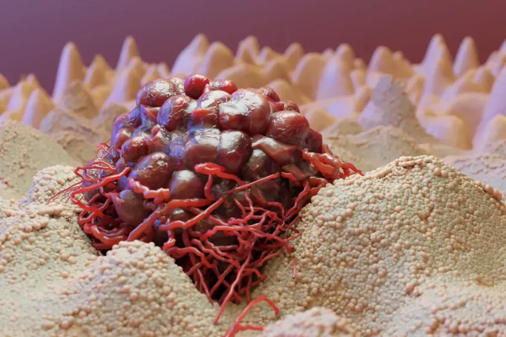 stem cells 