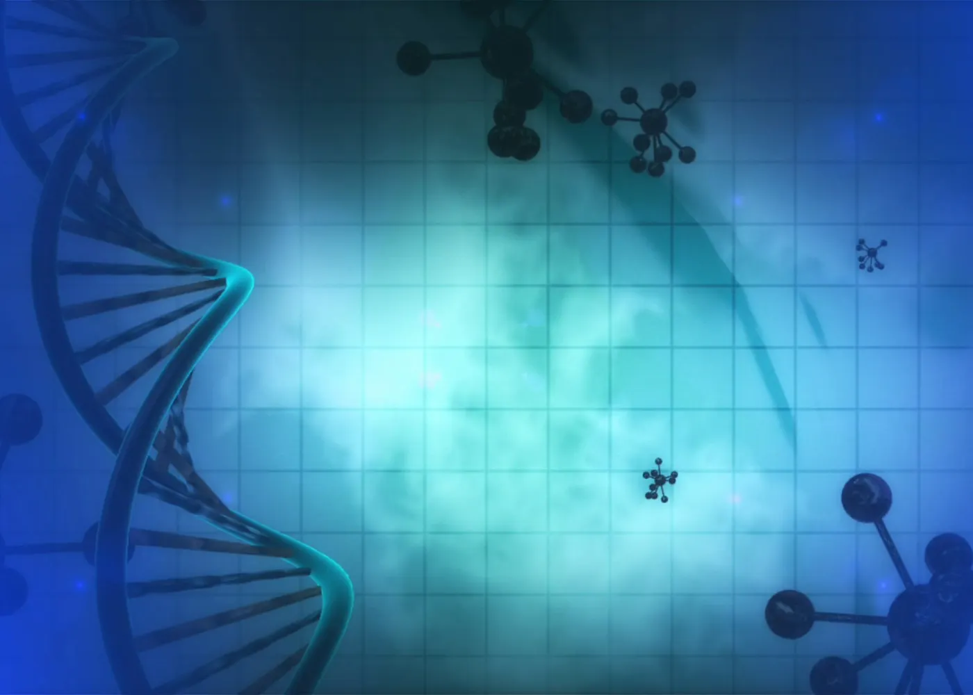 stem cells