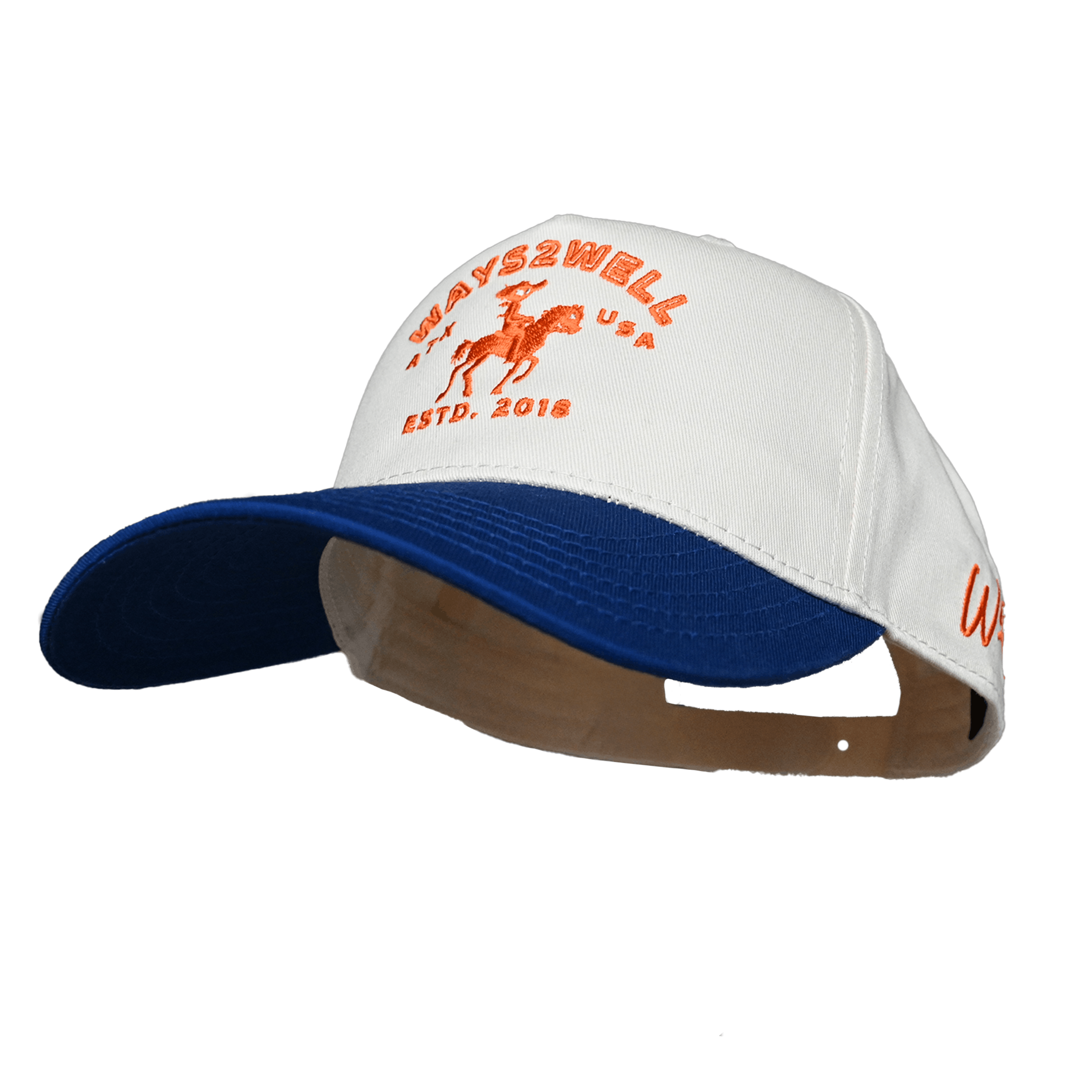 ORANGE HAT ANGLE 1 BLUE ANGLE 1