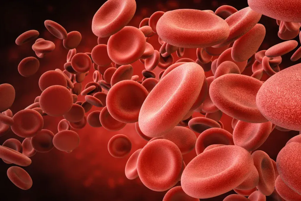 stem cells period blood (1)